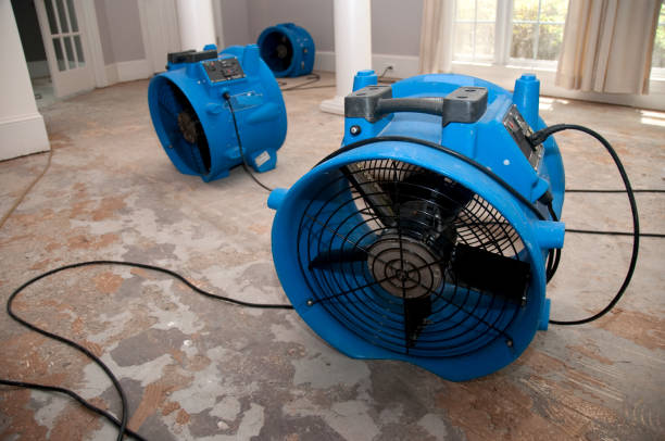 Best Commercial Water Damage Restoration in Hasley Nyon, CA